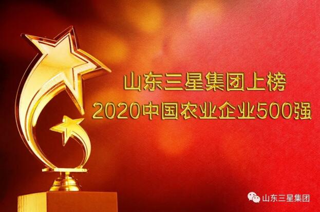 榮登雙榜!山東三星集團(tuán)“硬核”實力再彰顯